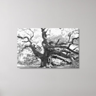 Angel Oak on canvas Leinwanddruck