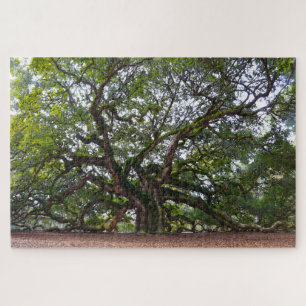 Angel Oak, South Carolina Puzzle
