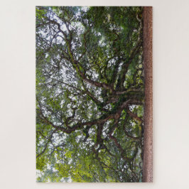 Angel Oak, South Carolina Puzzle