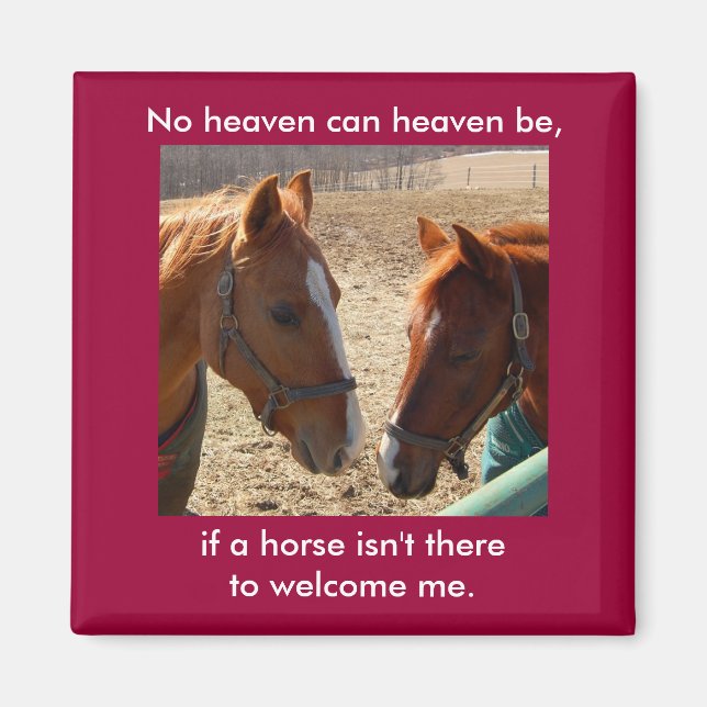 Angel Pferde - Magnet (Vorne)