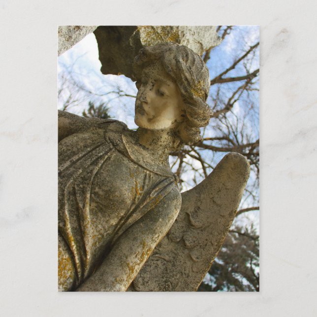 Angel Postkarte (Vorderseite)