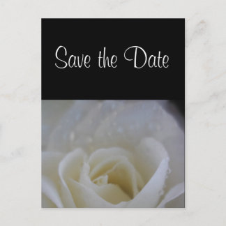 Angel Rose Save the Date Hochzeitsankündigung Ankündigungspostkarte