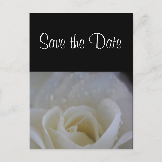 Angel Rose Save the Date Hochzeitsankündigung Ankündigungspostkarte (Vorderseite)