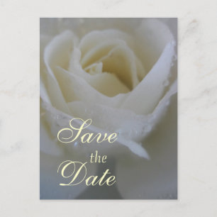 Angel Rose Wedding Ankündigungspostkarte