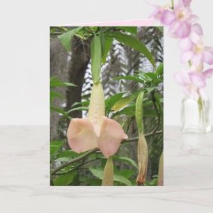 Angel Trumpet floral Greeting Card Karte