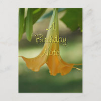 Angel Trumpet Postcard - passen Sie jede Gelegenhe
