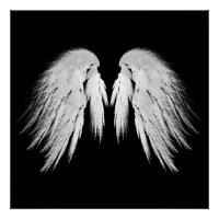 ANGEL WINGS Black