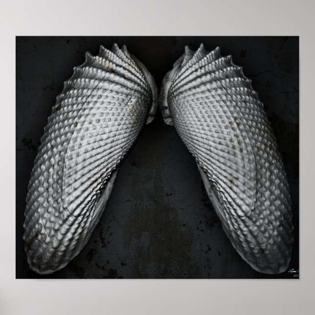 Angel Wings BW Poster (Vorne)