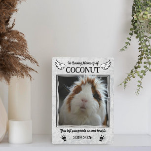 Angel Wings & Guinea Pig Paws Pet Memorial Foto Fotoplatte