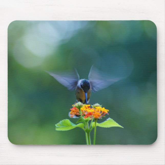 Angel Wings Humming Mousepad (Vorne)