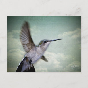 Angel Wings - The Series Postkarte