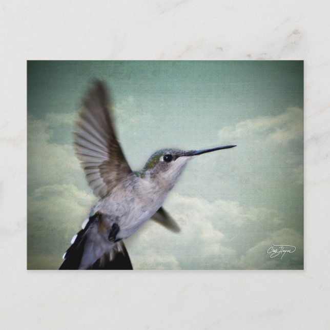 Angel Wings - The Series Postkarte (Vorderseite)