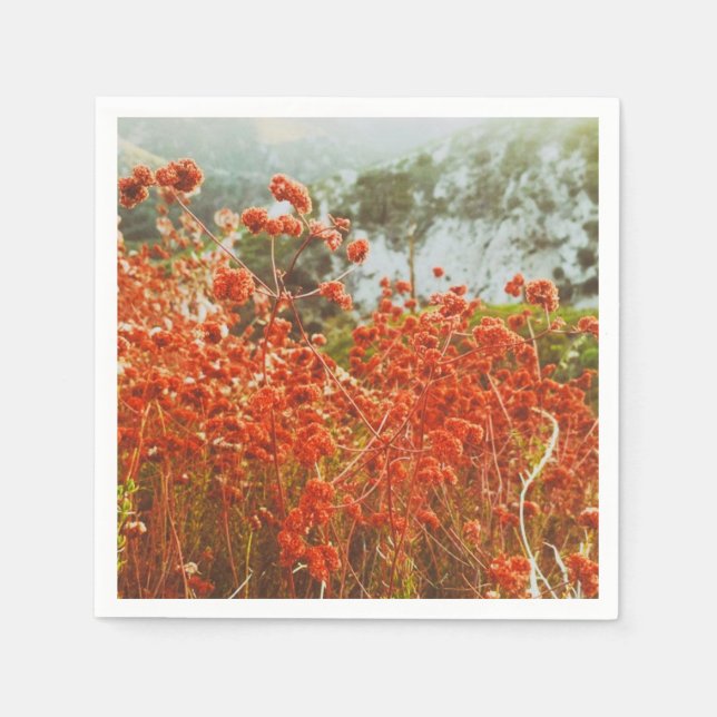Angeles National Forest Serviette (Vorderseite)