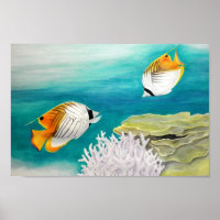 Angelfisch