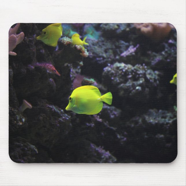 Angelfische, Fische, Meer Mousepad (Vorne)