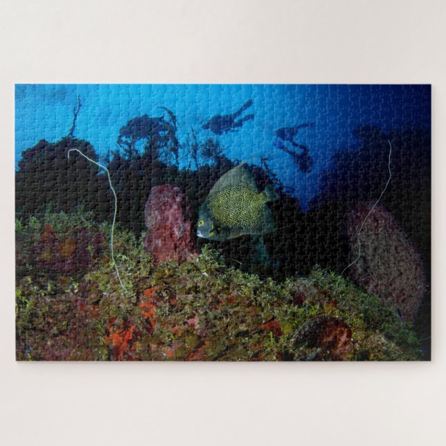 Angelfische und Taucher von unter 20"x30" Puzzle (Horizontal)