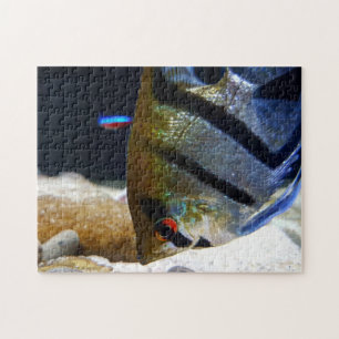 Angelfish Fish Keepers Süßwasser Aquarium Puzzle