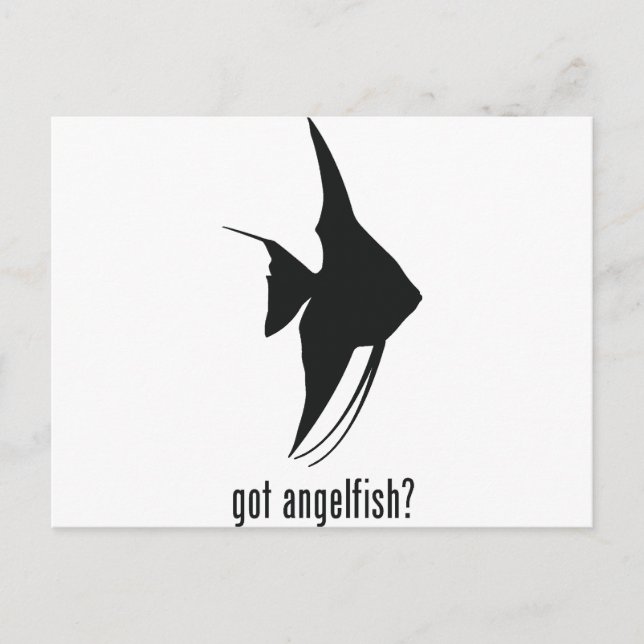 Angelfish Postkarte (Vorderseite)