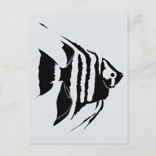 Angelfish. Schwarz und Weiß. Monochrom Postkarte