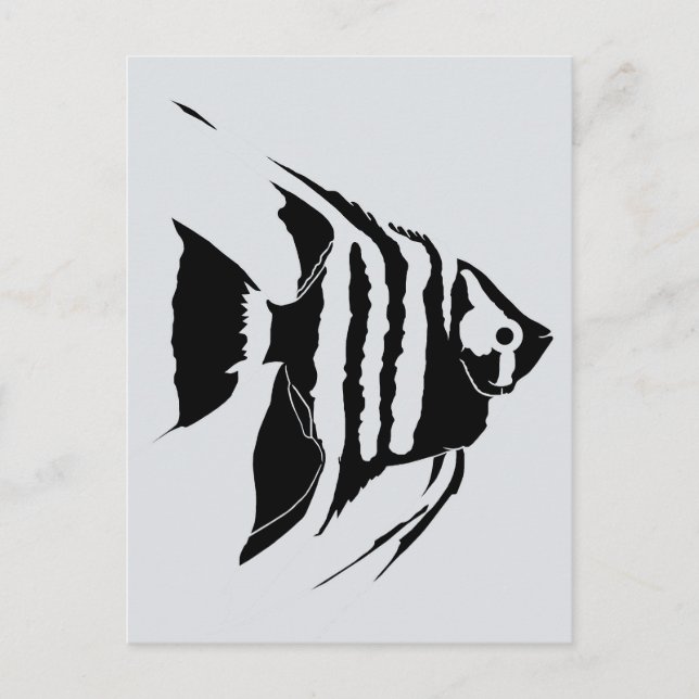 Angelfish. Schwarz und Weiß. Monochrom Postkarte (Vorderseite)
