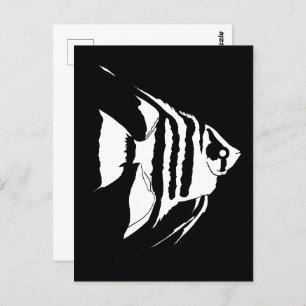 Angelfish. Schwarz und Weiß. Monochrom Postkarte