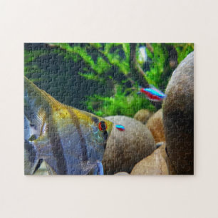 Angelfish Tropischer Fischbestand Puzzle