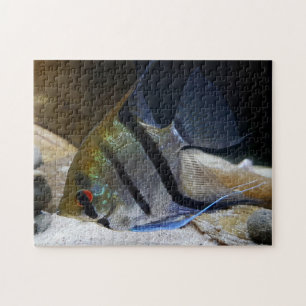 Angelfish Tropischer Fischhalter Puzzle