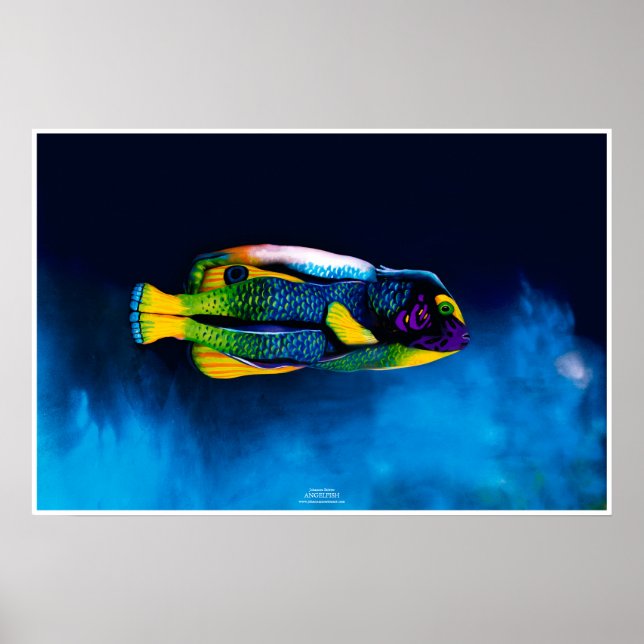 Angelfish von Johannes Stötter Poster (Vorne)