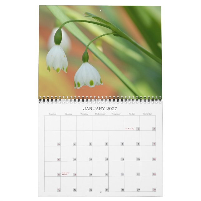 Angelie's Garden 2008 Kalender (Jan 2027)