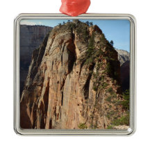 Angels Landung im Zion Nationalpark