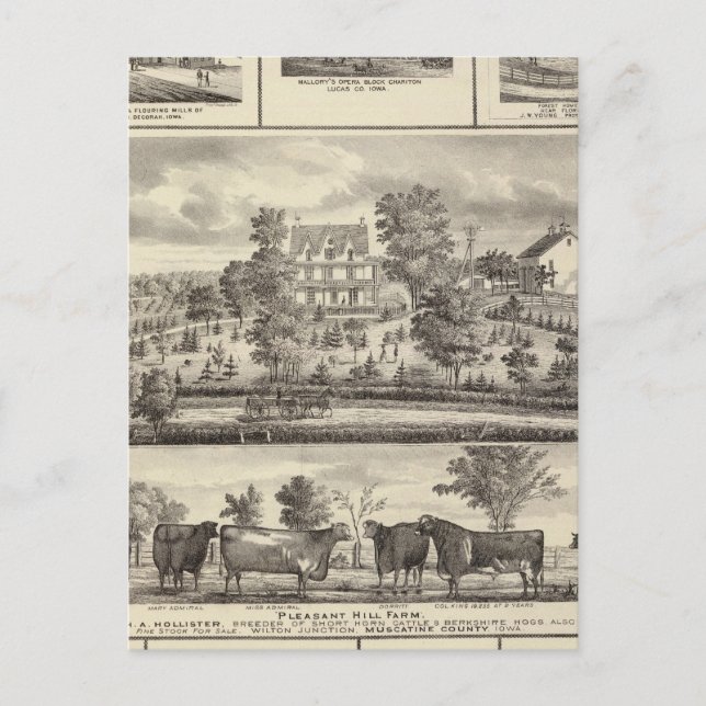 Angenehme Hill Farm Bldgs in Decorah Postkarte (Vorderseite)