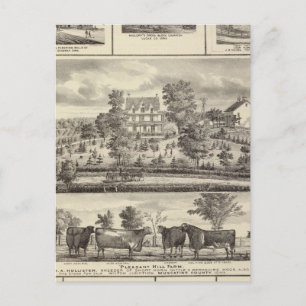 Angenehme Hill Farm Bldgs in Decorah Postkarte