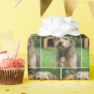 Angenommener Struppiger Hund Mit Hundehütte Geschenkpapier