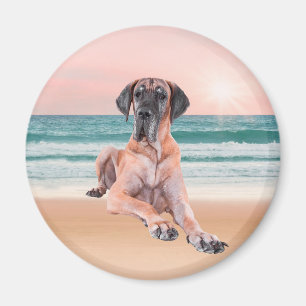 Angepasster Niedlicher Großer Dan Hund sitzend am  Magnet