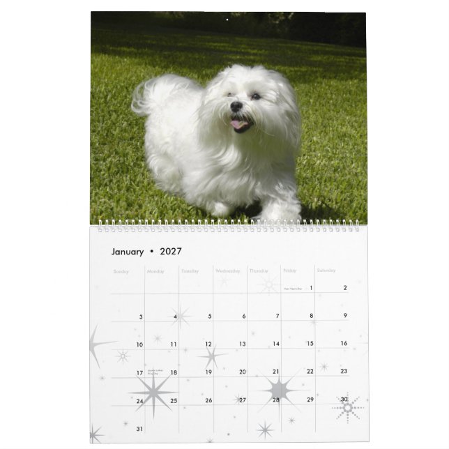 Angepasster Pet-Kalender Kalender (Jan 2027)