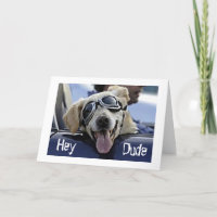 ANGESAGT HUND SAGT: "HEY TYP HAT EINEN COOLEN GEBU