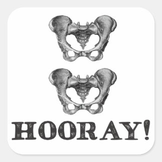 Angesagte Angesagt-Hooray-Anatomie Quadratischer Aufkleber