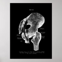 Angesagtes Anatomie-Medizinposter