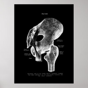 Angesagtes Anatomie-Medizinposter Poster