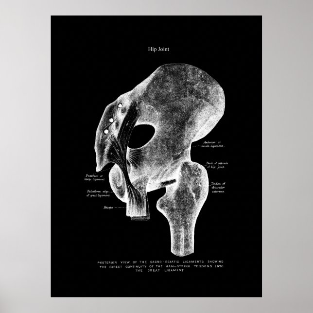 Angesagtes Anatomie-Medizinposter Poster (Vorne)