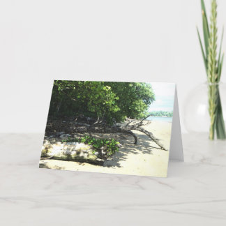 angeschwemmtes 8x10 2 karte