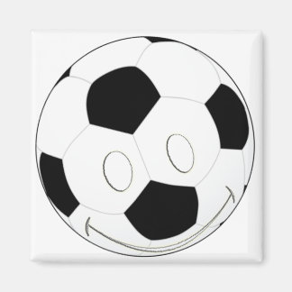 ANGESICHERTER BALL MAGNET