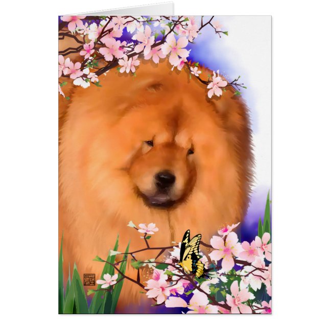 ANGIE heARTdog Chow-Chow (Vorne)