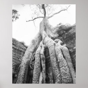 Angkor Kambodscha, Baum Ta Prohm Poster