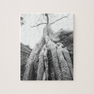 Angkor Kambodscha, Baum Ta Prohm Puzzle
