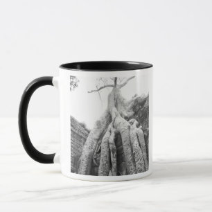 Angkor Kambodscha, Baum Ta Prohm Tasse