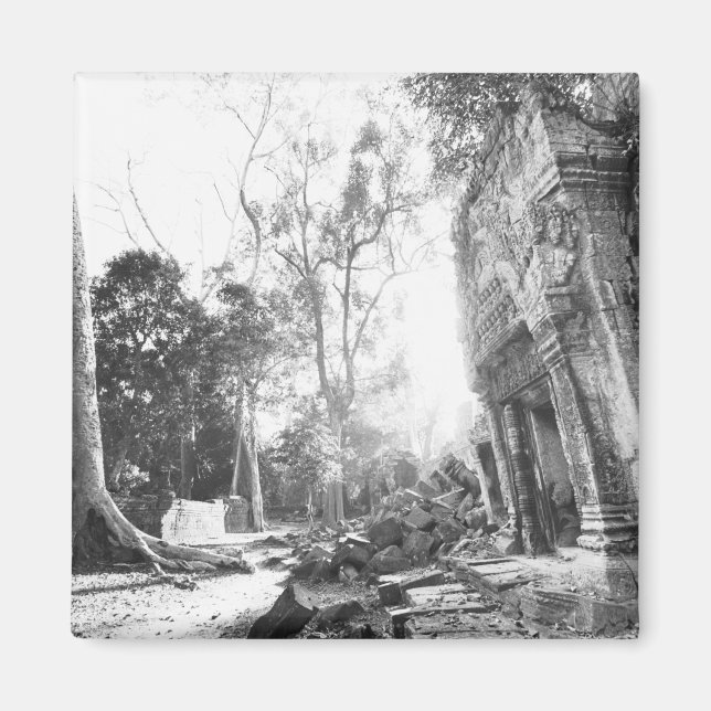 Angkor Kambodscha, Details Ta Prohm Magnet (Vorne)