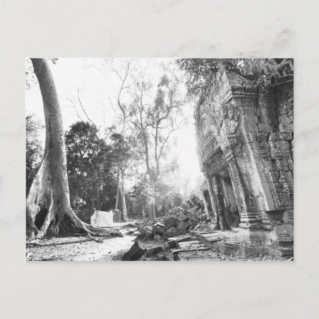 Angkor Kambodscha, Details Ta Prohm Postkarte (Vorderseite)