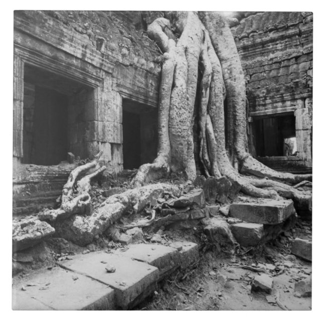 Angkor Kambodscha, Ta-Prohm-Baum Fliese (Vorderseite)