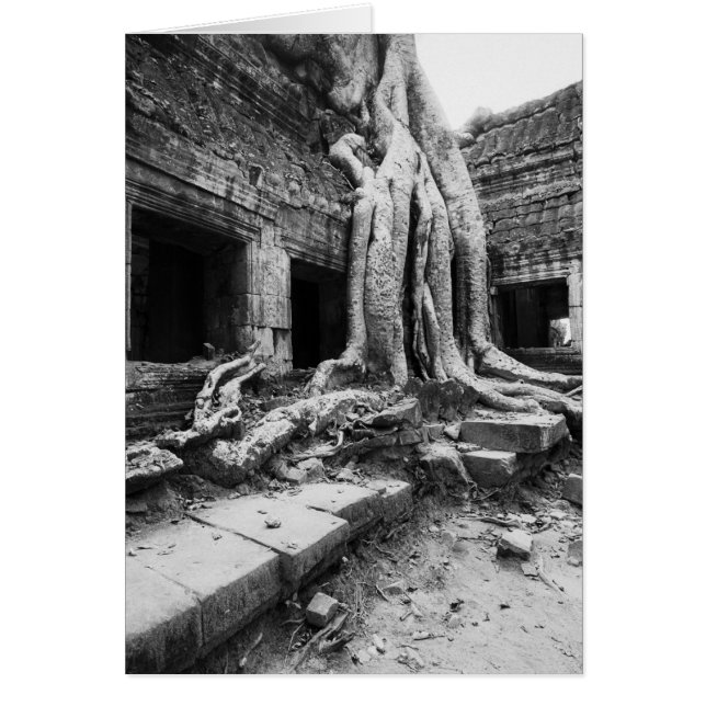 Angkor Kambodscha, Ta Prohm Tree (Vorne)